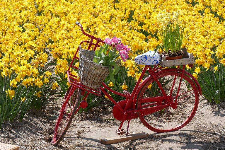 Hollandse rode fiets