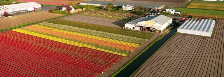 luchtfoto De Tulperij Voorhout Holland