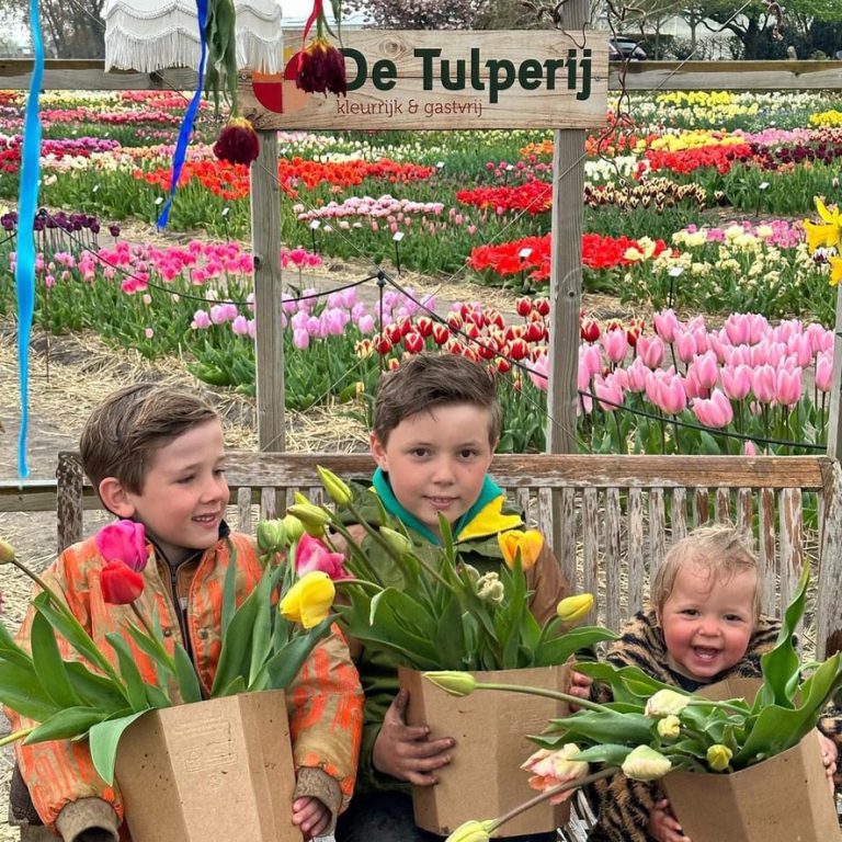 gezinsuitje, tulpen plukken, tulpentuin, excursie