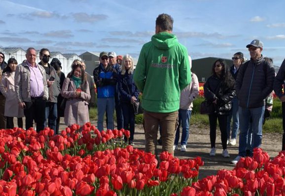Tulip excursion