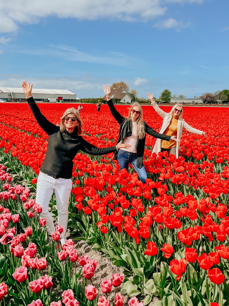 tulpen excursie, tulip excursion, tulpenfields
