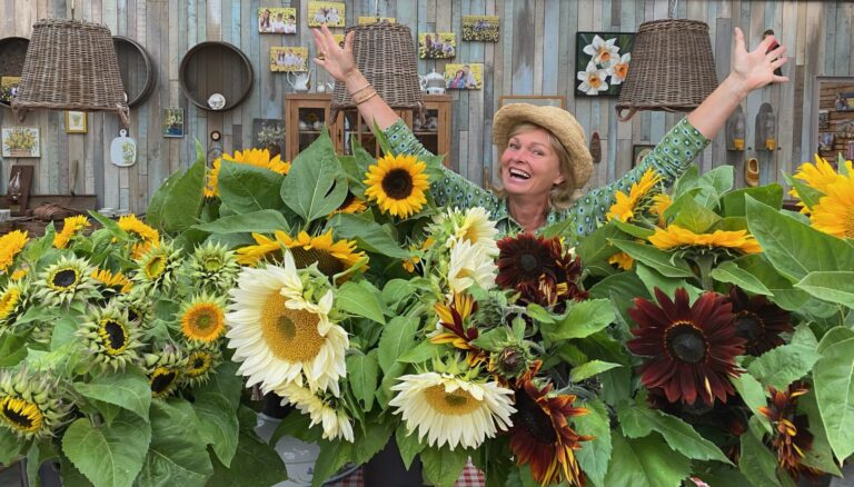 zonnebloemen plukken